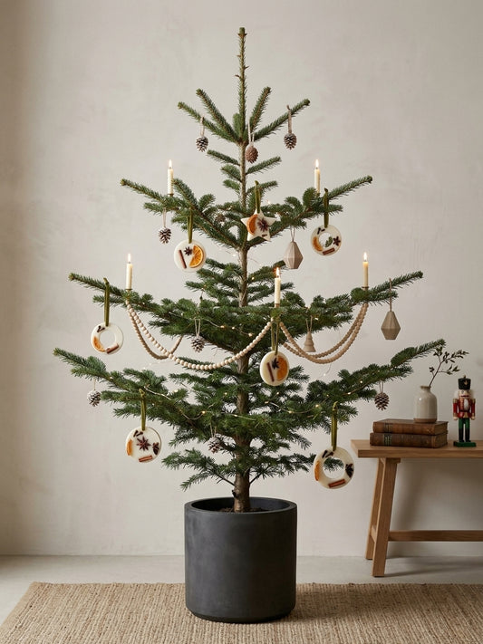 Spiced Orange Wax Christmas Tree Decorations