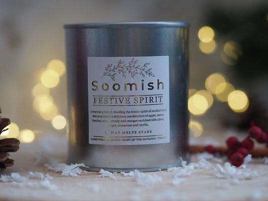 Festive Spice Wax Melt Stars Tin